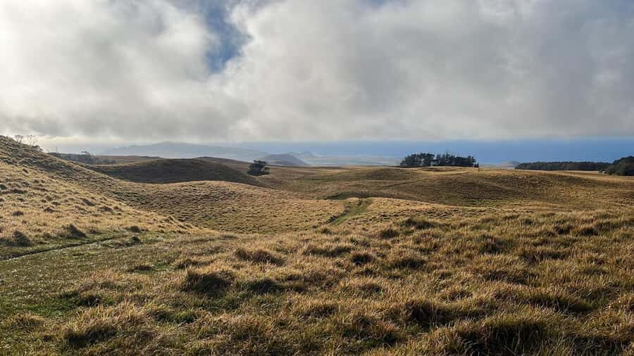Adventures in Rapa Nui: High-quality tourism with Easter Island Your Tour. - A $200 Private Rapa Nui Day That Feels Personal, Not Rushed