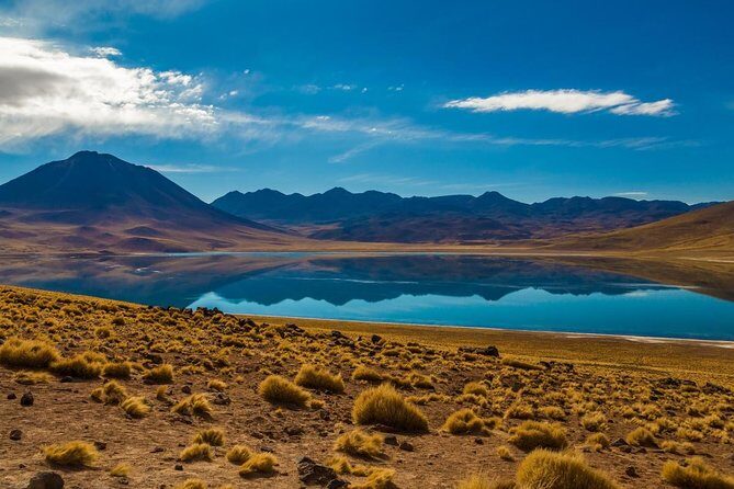 Altiplanic Lagoons & Piedras Rojas Tour from San Pedro de Atacama - Key highlights worth planning for