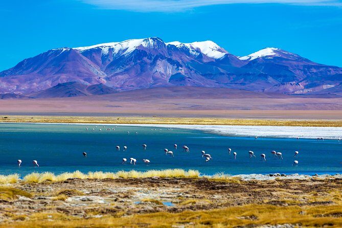 Altiplanic Lagoons & Piedras Rojas Tour from San Pedro de Atacama - Getting There: Early Pickup, Air-Conditioning, and Road Reality