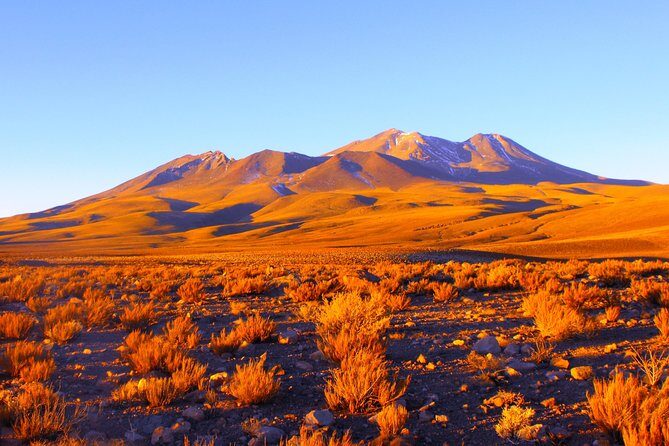 Altiplanic Lagoons & Piedras Rojas Tour from San Pedro de Atacama - Comfort, Altitude, and Photo Tips That Actually Help