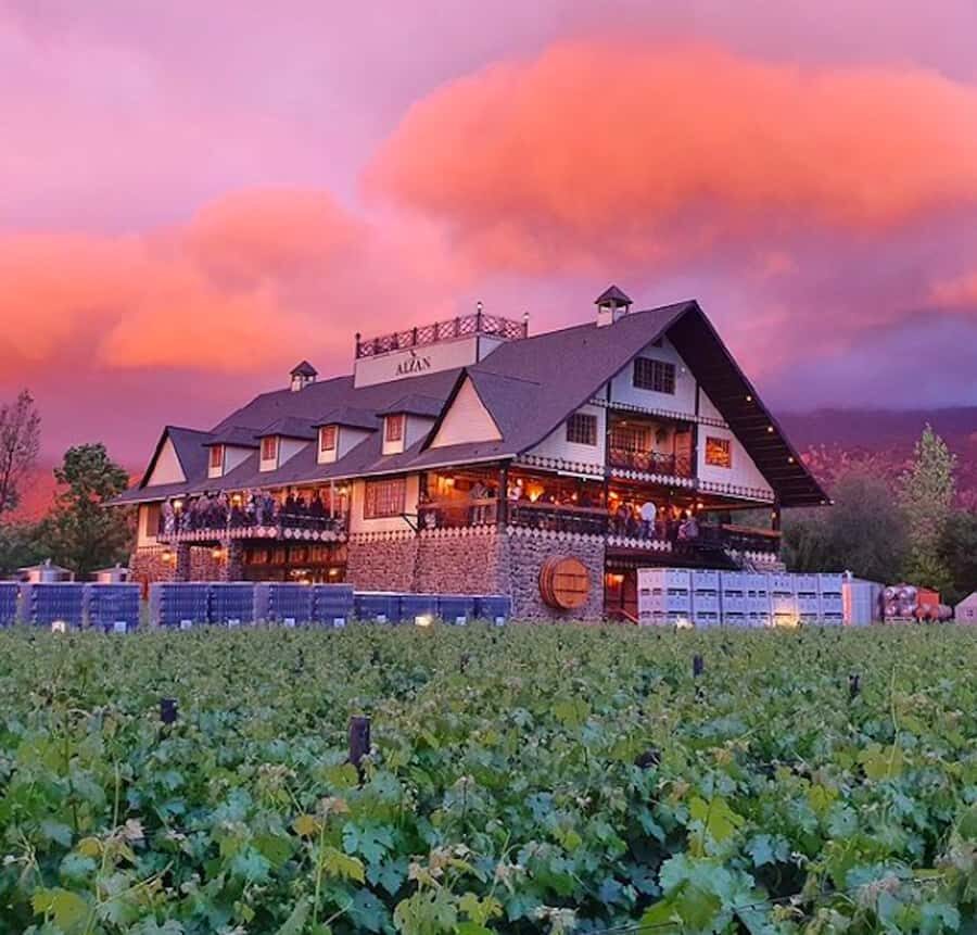 Alyan Family sunset winery - Key things I’d pin to the top