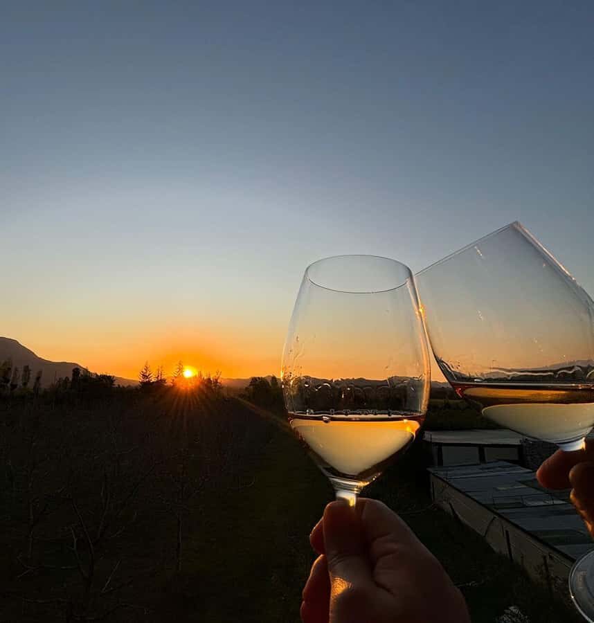Alyan Family sunset winery - Guide and staff: what to expect from the human side