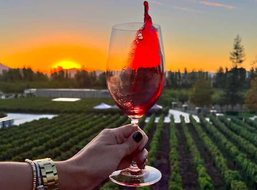 Alyan Family sunset winery - The ride from Santiago: pickup convenience and time in transit