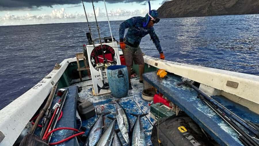 Ancestral fishing: Fishing with an experienced Rapa Nui - Key moments that make this tour worth your time
