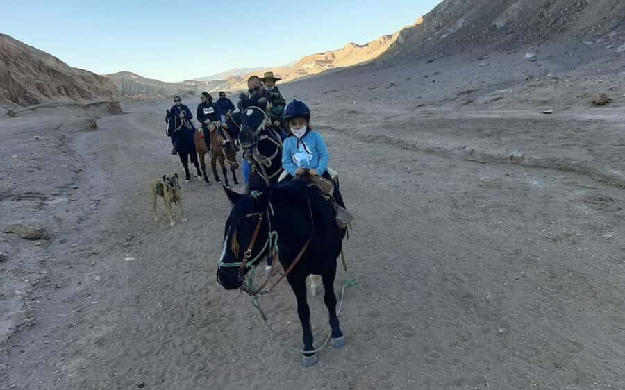 Atacama Desert: Horseback Adventure with Scenic Views - Should you book this horseback adventure?