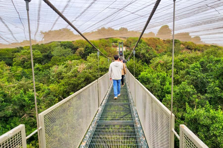 Aviary & Tricao Park Tour with Undurraga Wine Tasting - Key things to know before you go