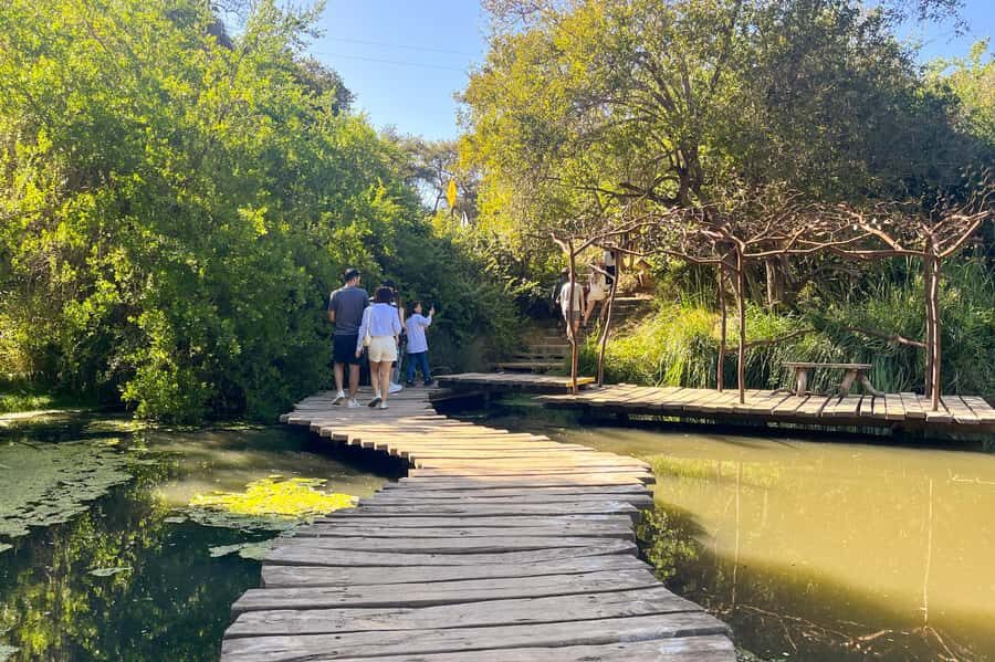 Aviary & Tricao Park Tour with Undurraga Wine Tasting - Midday brunch break: practical fuel before the wine road-trip
