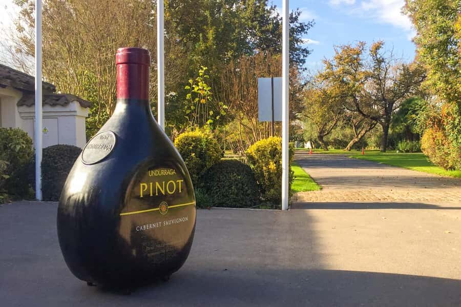 Aviary & Tricao Park Tour with Undurraga Wine Tasting - Guide, language, and group transfer reality