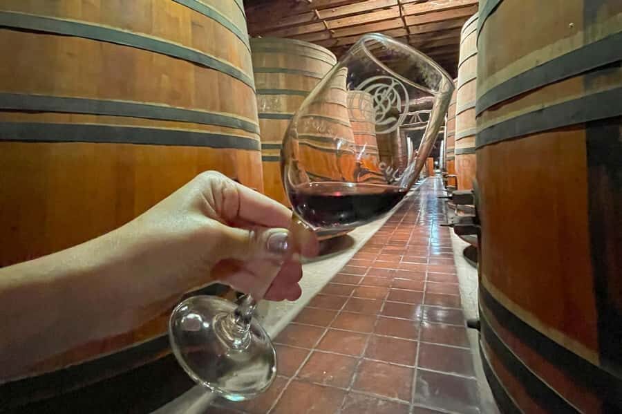 Bahá'i Temple and Cousiño Macul Vineyard - How the guide and group setup affects your experience