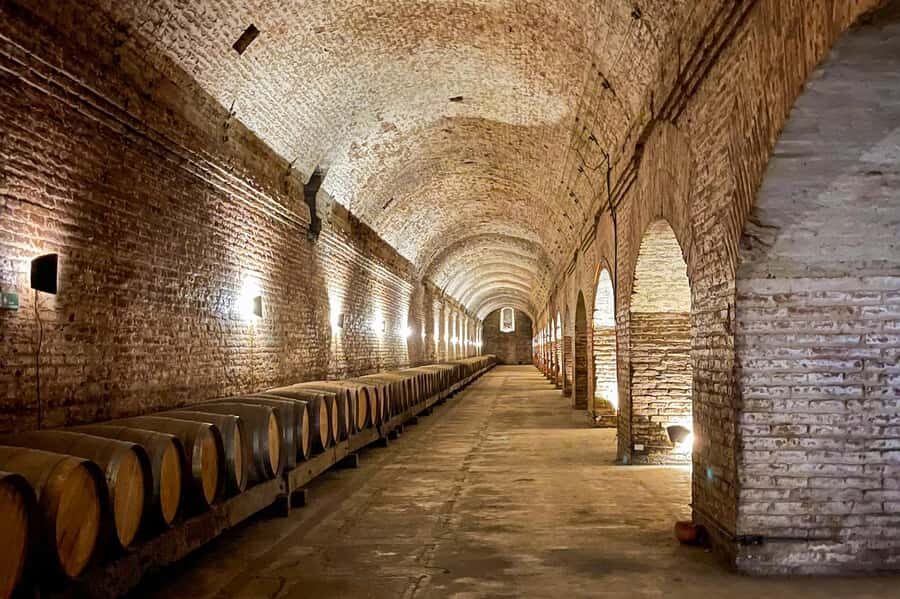 Bahá'i Temple and Cousiño Macul Vineyard - Price and value: is $96 really fair for this day?