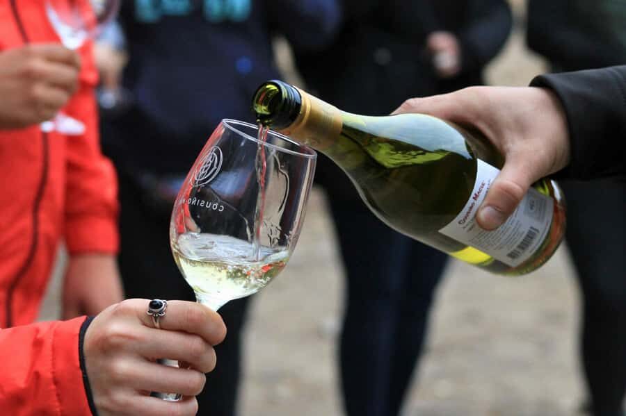 Bahá'i Temple and Cousiño Macul Vineyard - Practical tips to make the most of both stops