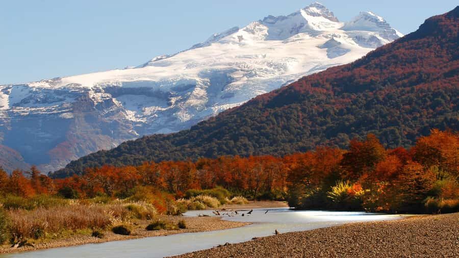 Bariloche: Cerro Tronador Tour - The Hostería Pampa Linda pause: photos, guided context, and a real breather