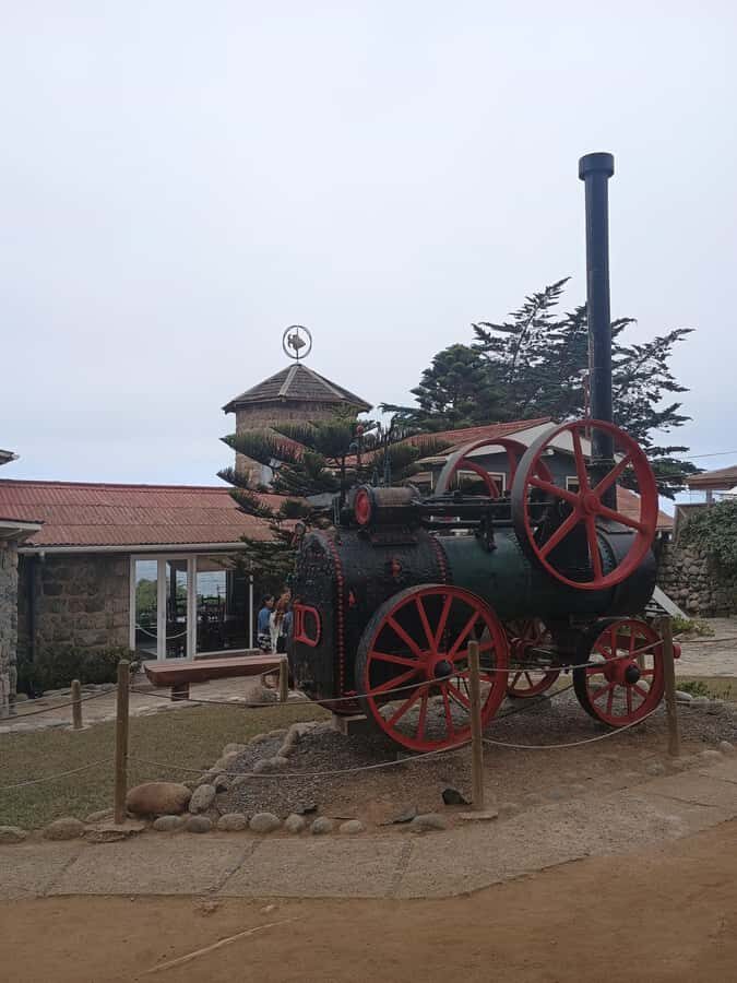 BLACK ISLAND AND CHILEAN WINE - Undurraga Vineyard: where the tour justifies the $75