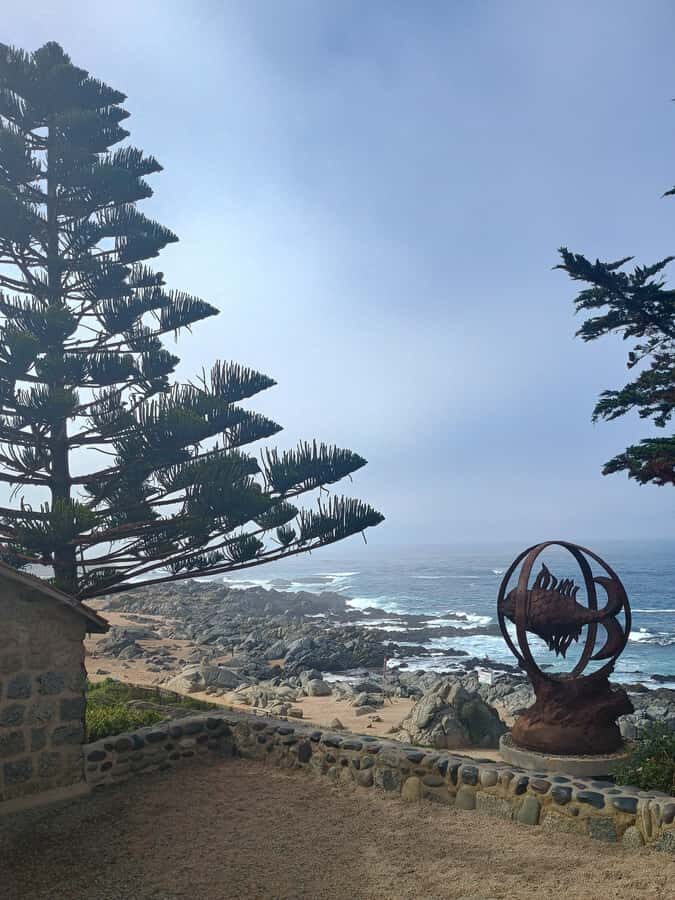 BLACK ISLAND AND CHILEAN WINE - Guides and pacing: what the names tell you about the experience