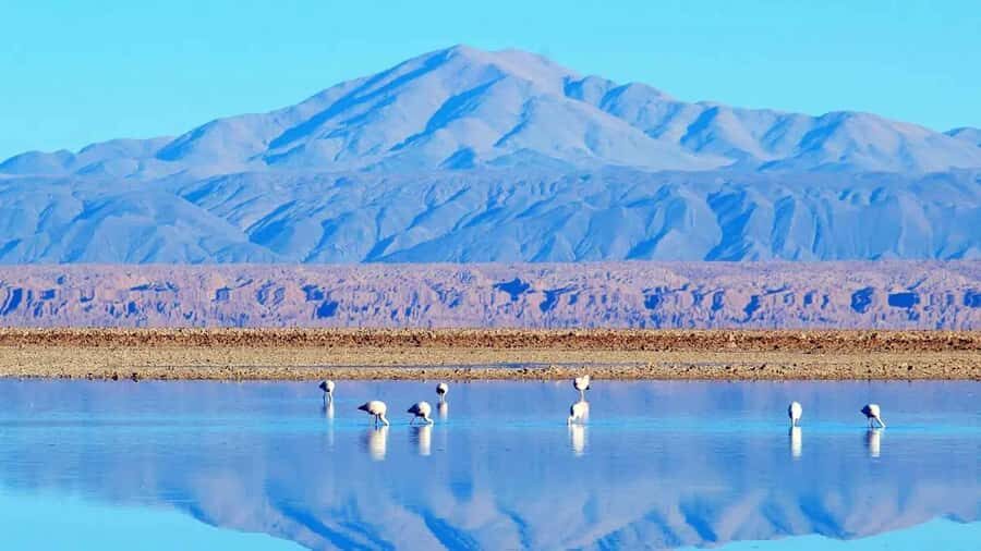 Caracoles: Red Stones of Atacama and Chaxa Guided Day Trip - How the day runs: a 10-hour loop that keeps momentum