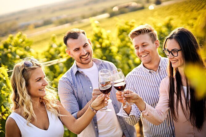 Casablanca world class wines, 4 vineyards & Tanino lunch stop - Key things I’d plan for