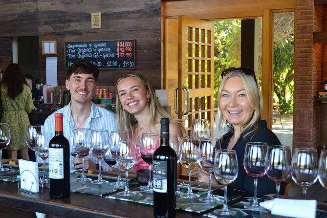 Casablanca world class wines, 4 vineyards & Tanino lunch stop - The morning drive: Curacaví Valley and getting oriented
