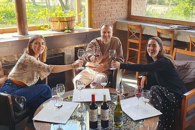 Casablanca world class wines, 4 vineyards & Tanino lunch stop - Lunch at Tanino in Casas del Bosque: pay as you choose