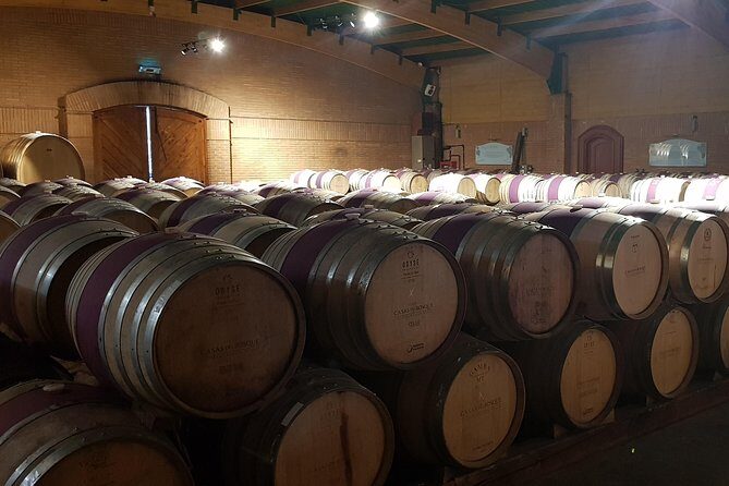 Casas del Bosque Winery + RE Wineries : Exclusive Tour + Transfer - How to Get the Most Out of Your Tastings