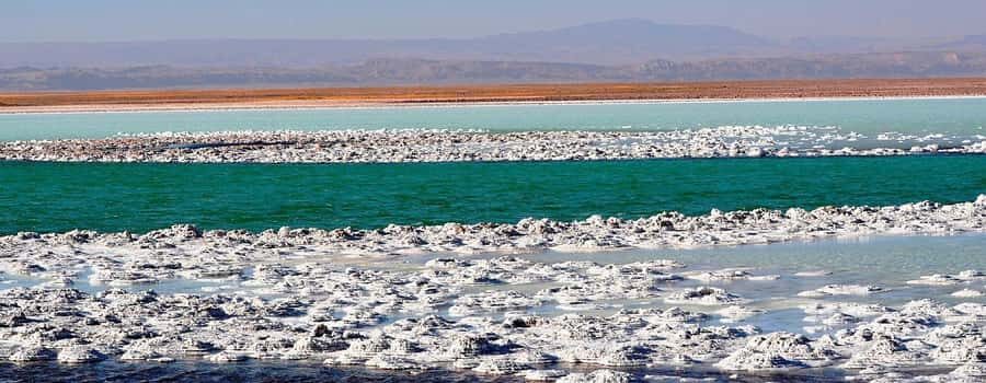 CEJAR LAGOON, OJOS DEL SALAR AND TEBINQUINCHE LAGOON - A Lagoon Circuit Inside the Salar de Atacama (Cejar to Tebinquinche)