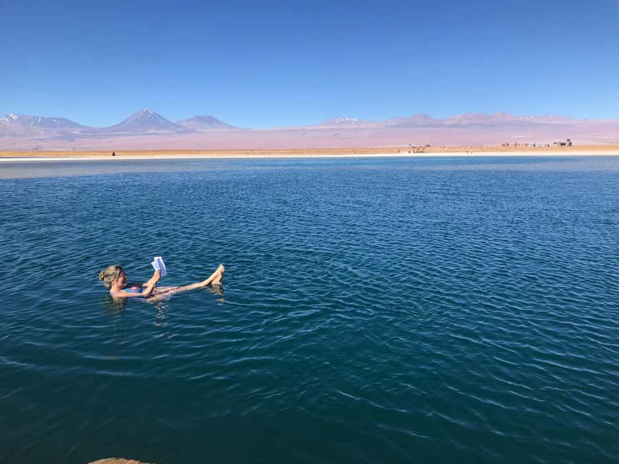 CEJAR LAGOON, OJOS DEL SALAR AND TEBINQUINCHE LAGOON - Laguna Cejar: Turquoise Water Set Against Grass Tones