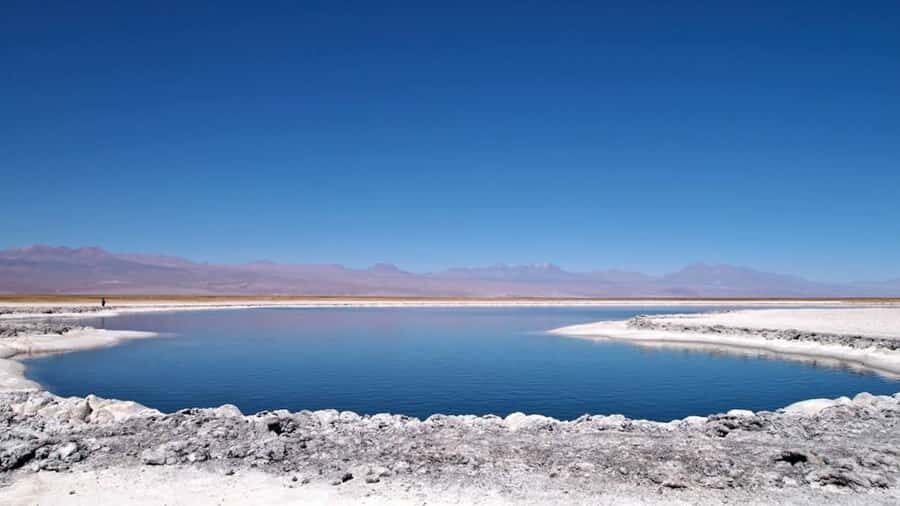 Cejar Lagoon, Tebenquiche Lagoon and Ojos del Salar - Cejar Lagoon: turquoise water and the floating feeling