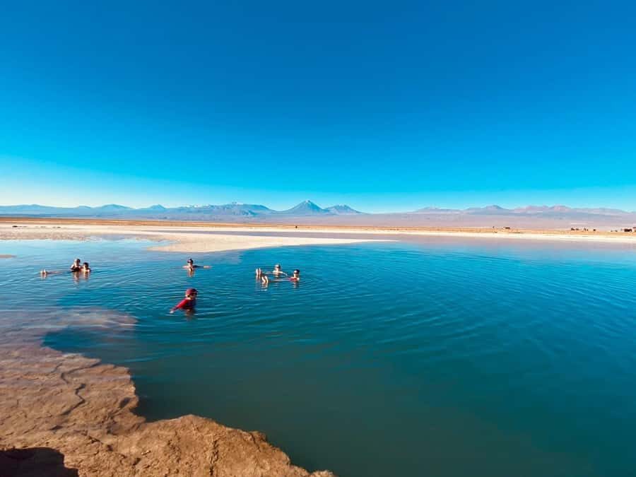 Cejar Lagoon Tour: San Pedro de Atacama - Price and logistics: what $37 covers (and what doesn’t)