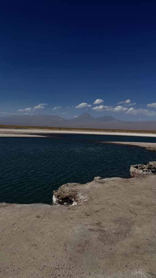 Cejar & Tebenquiche Lagoons Tour with Ojos del Salar Atacama - Key things to know before you go
