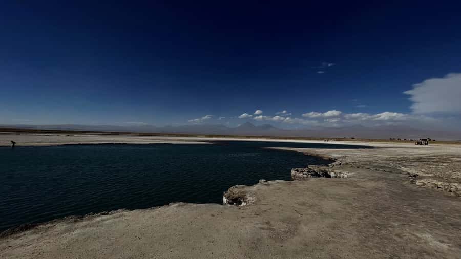 Cejar & Tebenquiche Lagoons Tour with Ojos del Salar Atacama - The guide experience: bilingual commentary, with one real-world caution