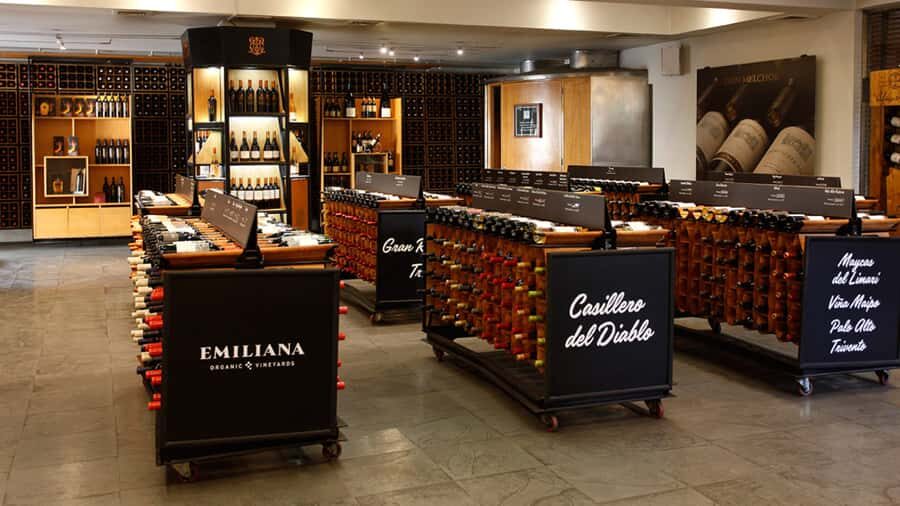Concha y Toro Wine Tour with Dinner at the Winery - Hotel Pickup in Santiago: Smooth Start, Fewer Hassles