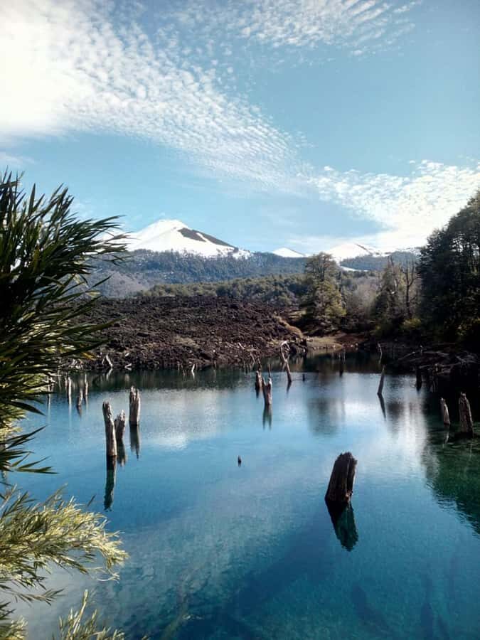 Conguillío National Park Tour, Full day - Waterfalls and short trail time: getting out of the vehicle