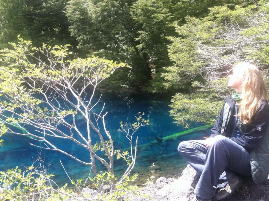 Conguillío National Park Tour, Full day - Araucaria tree stop: the ecology moment you’ll remember
