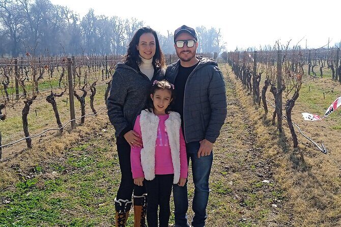 Cousiño Macul Vineyard - Maipo Valley - Premium Tasting - HD - One Possible Drawback to Think About First