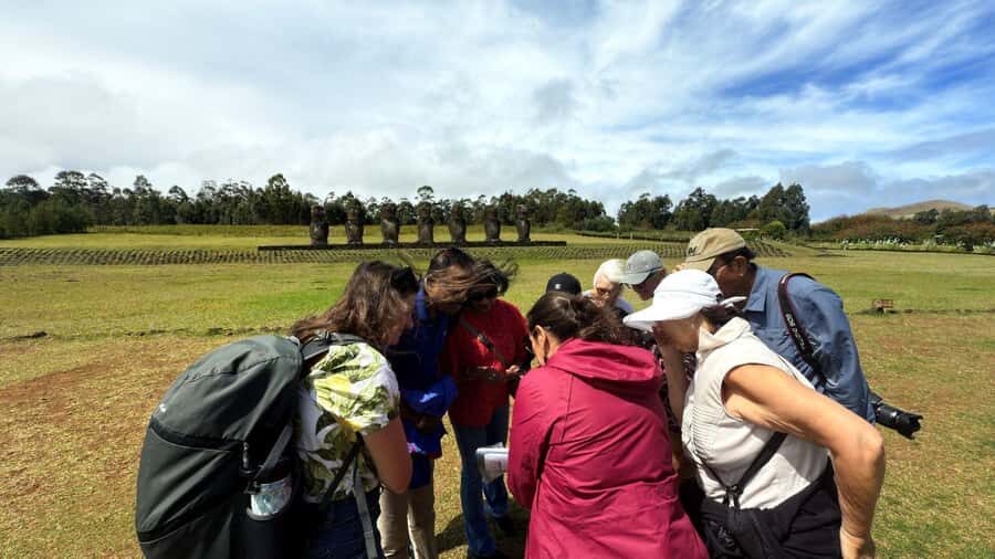 Easter Island: Half-Day Archaeology Tour - Rapa Nui National Park 101: Moai, Ahu, and Why Placement Matters