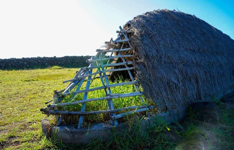 Easter Island: Moai Full Day Private Tour - Ovahe Rose Sand and Anakena Beach: Finish With Ocean Time