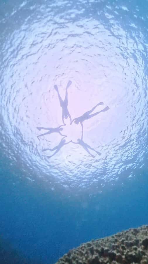 Easter island: Snorqueling tour on coral reefs - Rapa Nui Reef Snorkeling: What You’re Really Booking for