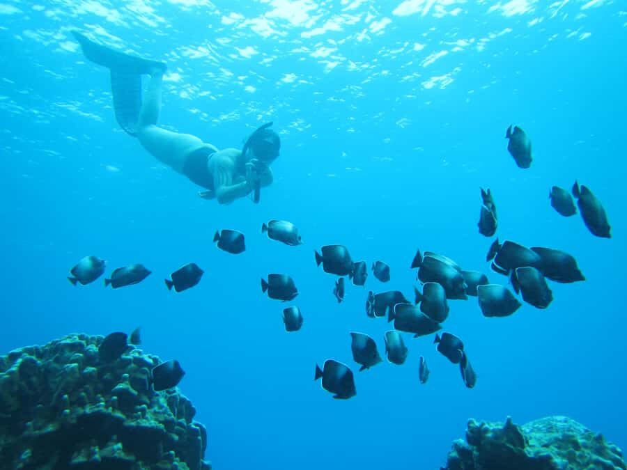 Easter island: Snorqueling tour on coral reefs - Rapa Nui National Park Time: A Land-Water Mix