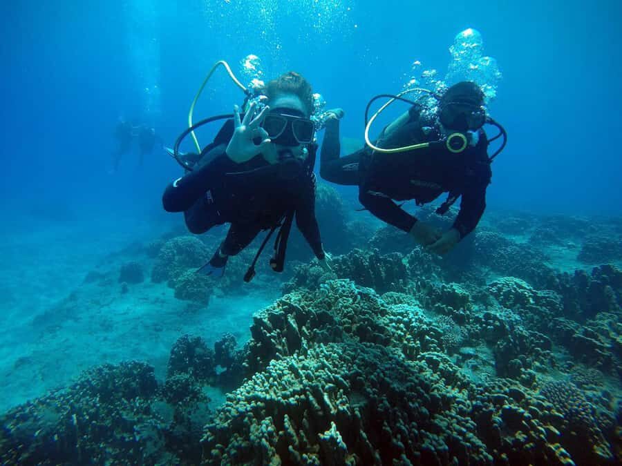 Easter Island: Tropical Diving - Key Highlights You’ll Care About