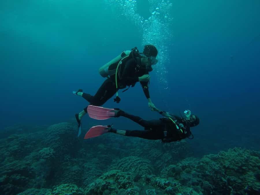 Easter Island: Tropical Diving - Hanga Piko’s Underwater Setup: Why This Spot Works