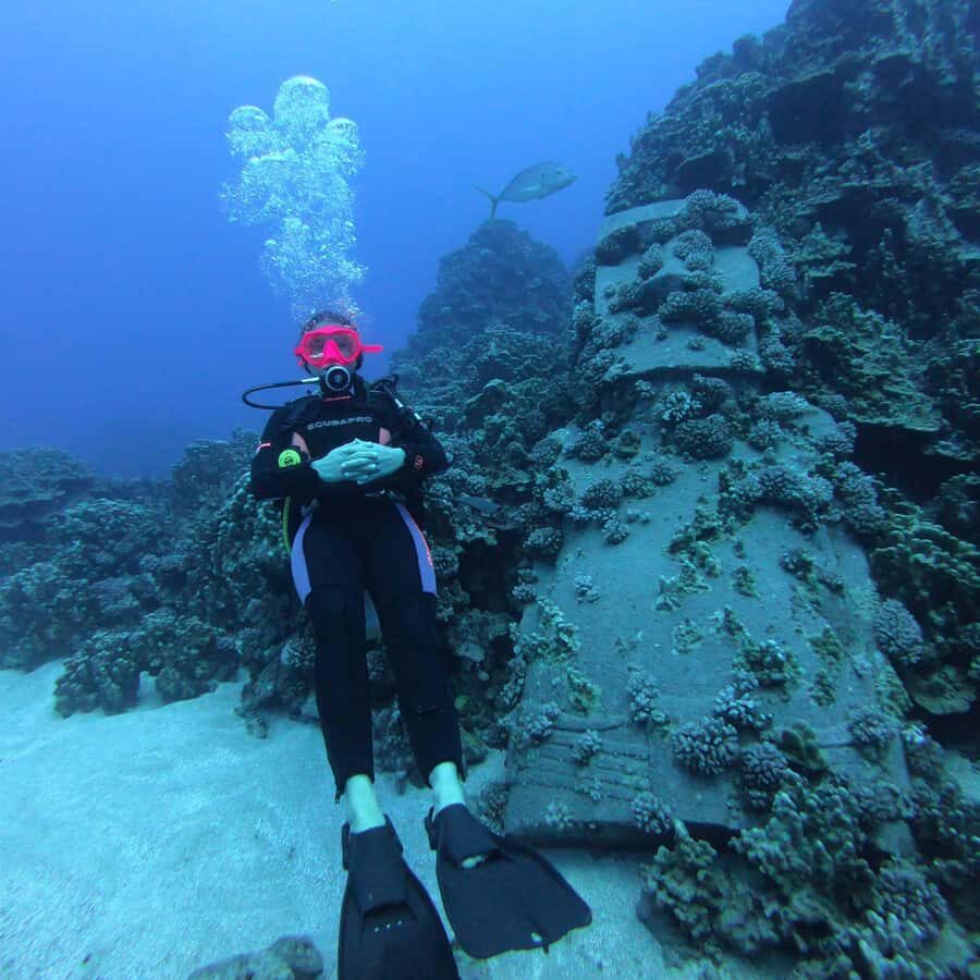 Easter Island: Tropical Diving - What You’ll See Underwater: Tropical Fish, Turtles, and Sunken Moai Limits