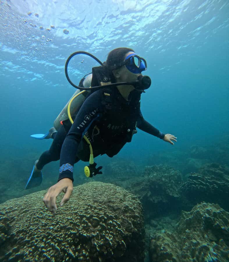 Easter Island: Tropical Diving - Instruction Style and Safety: Small Group Support That Helps You Relax