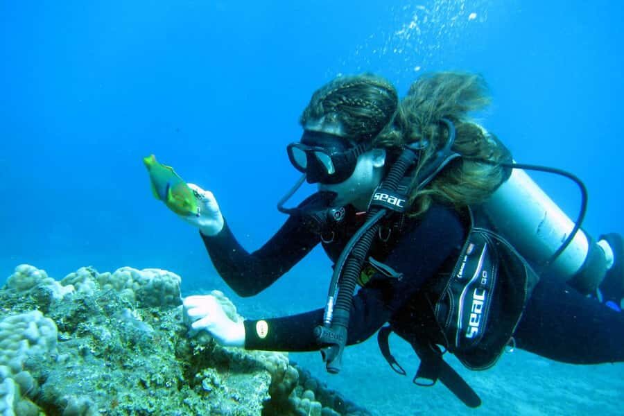 Easter Island: Tropical Diving - The 150 Minutes Plan: What Happens Before and After the One Hour