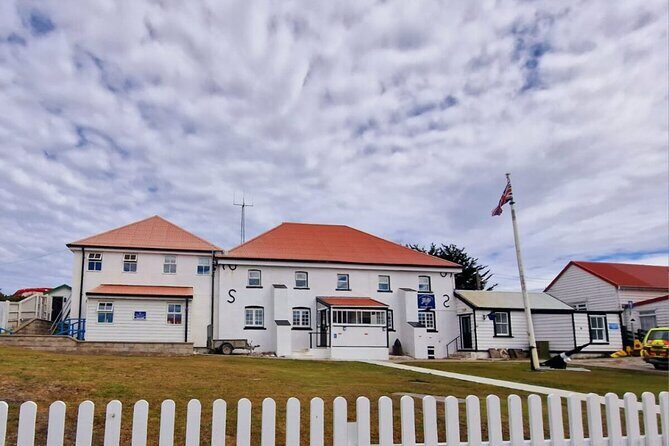 Falkland Islands Shared Tour Sightseeing with Penguins - Gypsy Cove walk: Magellanic penguins and shoreline birds