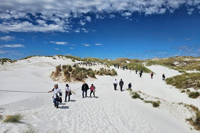 Falkland Islands Shared Tour Sightseeing with Penguins - Guides like Sharon and Wendy: why the storytelling matters