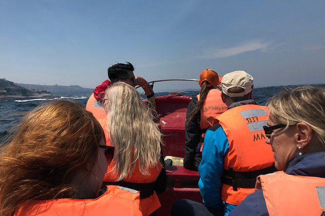 Fr VALPO: WILD PENGUINS, SEALION, SANDBOARD, PARAGLIDING & PICNIC - Stop 2: Lunch at the Paragliding School with Ocean Views