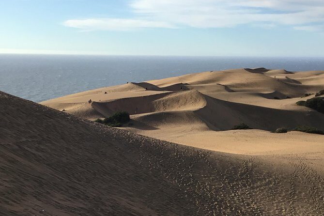 Fr VALPO: WILD PENGUINS, SEALION, SANDBOARD, PARAGLIDING & PICNIC - Stop 3: Concon Dunes Sandboarding (Shoes Off, Laughs On)