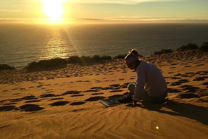 Fr VALPO: WILD PENGUINS, SEALION, SANDBOARD, PARAGLIDING & PICNIC - Stop 4: Valparaíso Ending (A Quick Close, Not a Full City Tour)