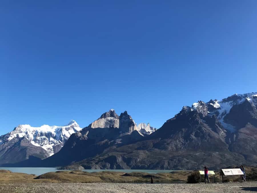 From El Calafate: Torres del Paine Full Day Tour - Guides and drivers: the human touch behind those photo stops