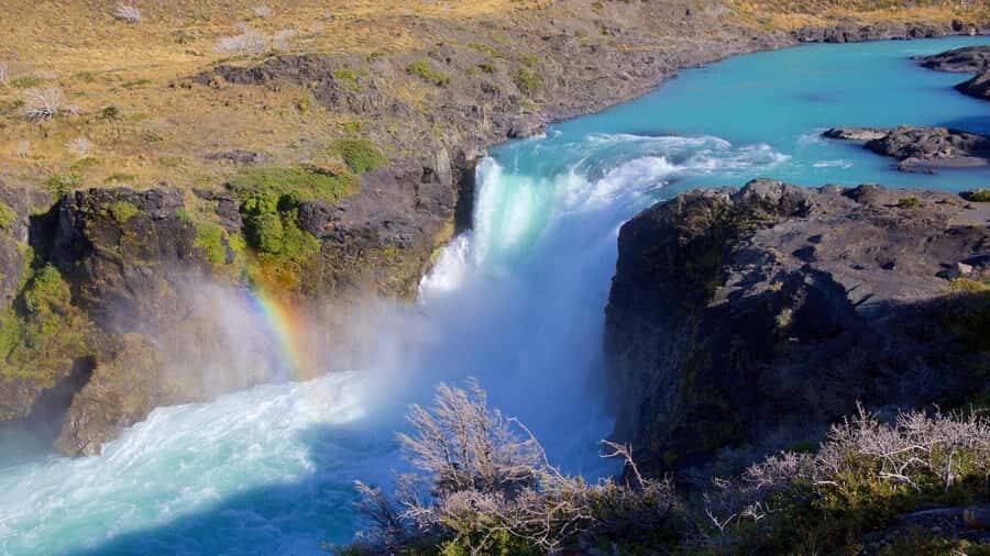From El Calafate: Torres del Paine Full Day Tour - Price and value: what $229 covers, and what it doesn’t