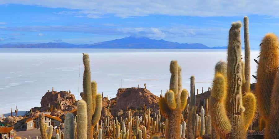 From San Pedro de Atacama: 3 days to Uyuni Salt Flat - Salvador Dalí desert: when geology turns into theater